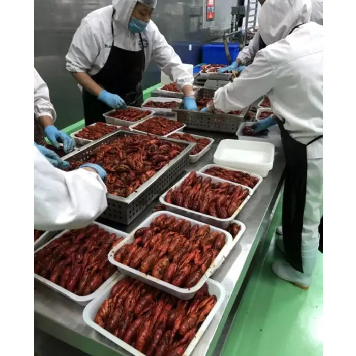 Liquid Nitrogen Tunnel Blast Freezing Machine Freezer Industrial Deep Freezer Iqf Tunnel Freezer Price For Fish Seafood Lobster